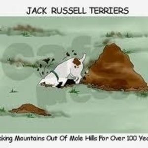 Meet your Posher, Colleen